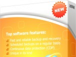 zebNet Internet Explorer Backup 2012