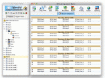 Splendid City Sports Scheduling Software Screenshot