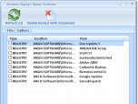 Windows Startup Cleaner Software Screenshot