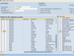 Hovitaga Report Generator