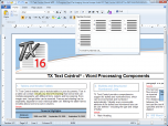 TX Text Control Express Screenshot