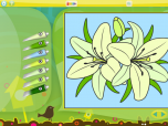 Color by Numbers - Flowers Screenshot