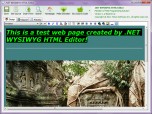.NET WYSIWYG HTML Editor Screenshot