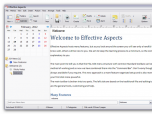 Effective Aspects Free Checklist Screenshot