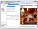 tlDatabase Data Editing Software Screenshot