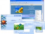 Get Software to Sort Files Screenshot