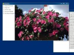 pcdMagic for Windows Screenshot