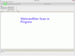 MalwareBiter Anti Malware Screenshot
