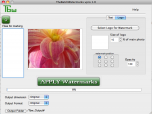 Tbw-pro - mac watermark software