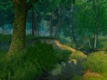 Summer Forest 3D Screensaver Screenshot