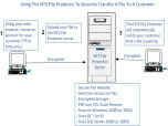 NTS File Protector Screenshot