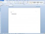 Kingsoft Writer Professional