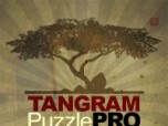 Tangram Puzzle Pro: Secret Garden Screenshot