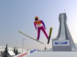 Deluxe Ski Jump 4 Screenshot