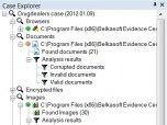 Belkasoft Evidence Center Enterprise Screenshot