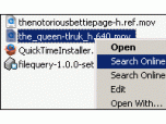 FileQuery Screenshot