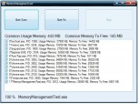 Memory Management ActiveX Screenshot