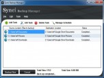 Synei Backup Manager Screenshot