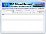 Tcp Client Server Screenshot