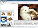 Web Image Collector 2013 Screenshot