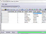 Q-Eye QVD/QVX files Editor (64 Bit) Screenshot