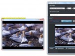 Free Webcam Capture Screenshot
