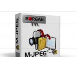 Morgan Multimedia MJPEG Codec Screenshot