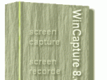 WinCapture 2009 Screenshot