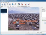 Video Watermark Software Screenshot