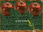 Invader Worm Screenshot