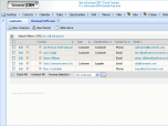 BrowserCRM Lite Screenshot