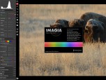 Imagia Lite Screenshot