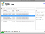 Reincubate Recover Files Screenshot