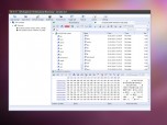UFS Explorer Professional Recovery (Lin) Screenshot