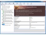 UFS Explorer Professional Recovery (Win)