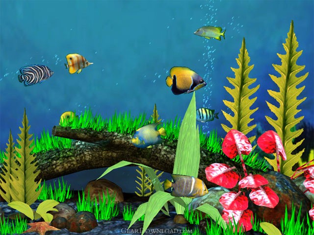 Screensaver Aquarium 3d Windows 7 Image Num 33